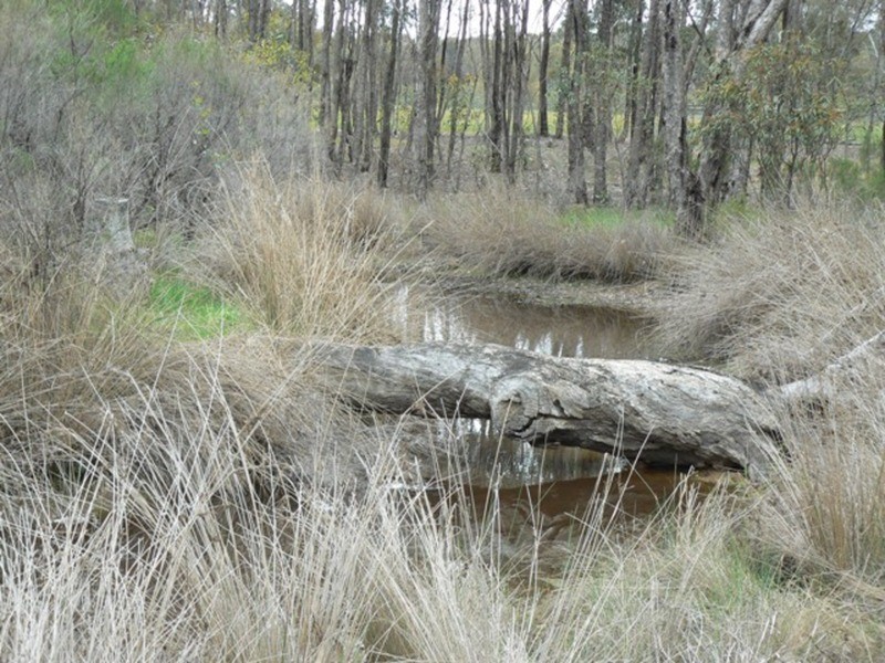 1359 Bendigo-Maryborough  Road, Shelbourne VIC 3463