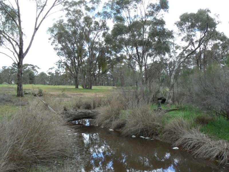 1359 Bendigo-Maryborough  Road, Shelbourne VIC 3463