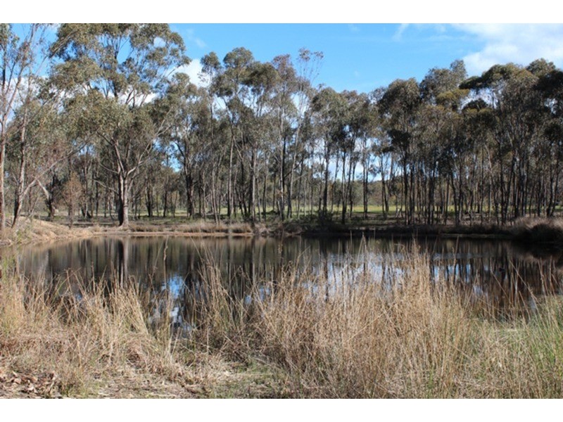 1359 Bendigo-Maryborough  Road, Shelbourne VIC 3463