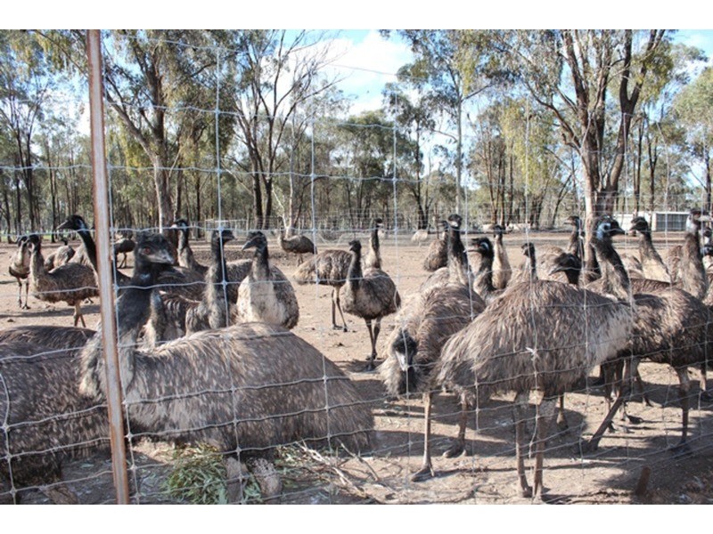 1359 Bendigo-Maryborough  Road, Shelbourne VIC 3463