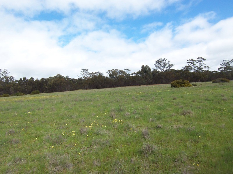 Lot 1 Ostrich Way, Neilborough VIC 3570