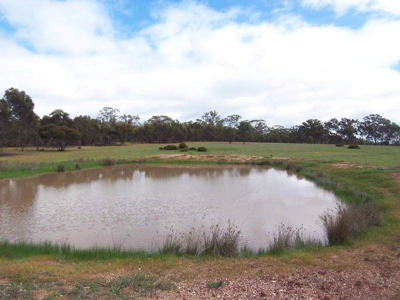 Lot 1 Ostrich Way, Neilborough VIC 3570