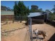 131 Old Boort  Road, Wedderburn VIC 3518
