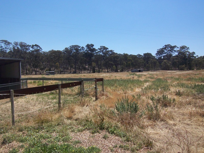 131 Old Boort  Road, Wedderburn VIC 3518