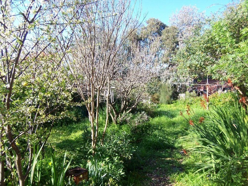 36 Victoria Street, Ironbark VIC 3550