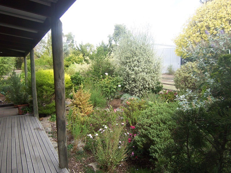 91 Moffatt Drive, Harcourt North VIC 3453