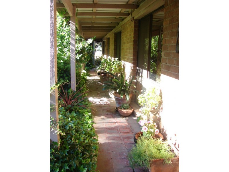 239 North Harcourt Road, Harcourt North VIC 3453