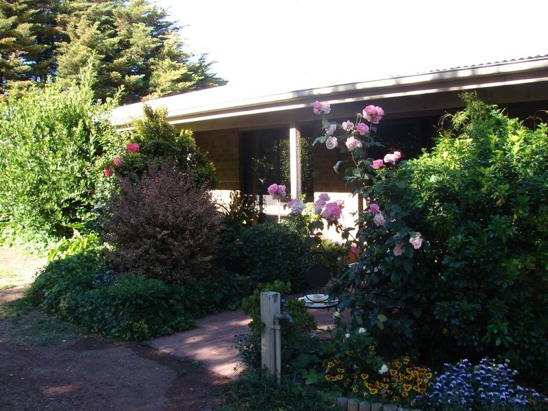 239 North Harcourt Road, Harcourt North VIC 3453