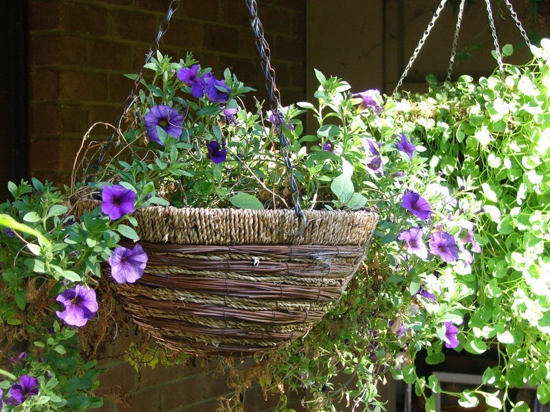 239 North Harcourt Road, Harcourt North VIC 3453