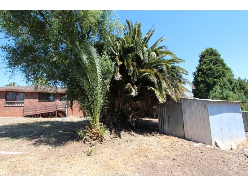14 Reception Avenue, Strathdale VIC 3550