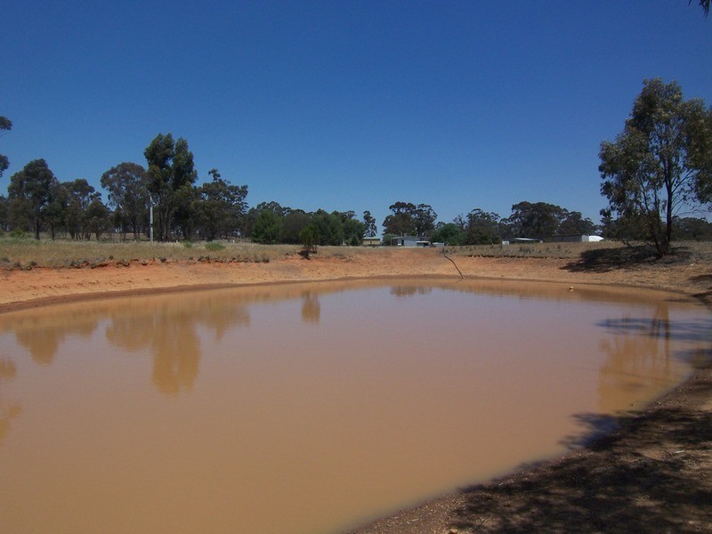 131 Old Boort Road, Wedderburn VIC 3518