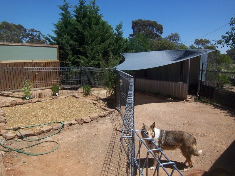 131 Old Boort Road, Wedderburn VIC 3518