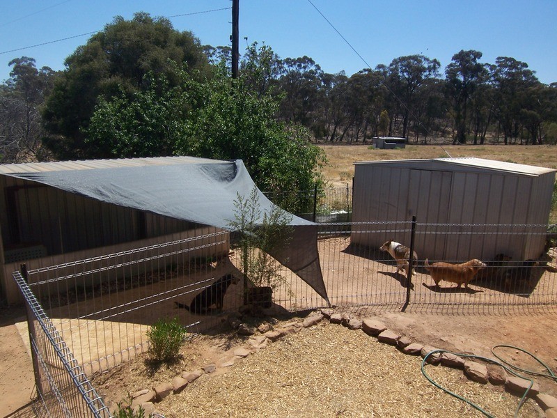 131 Old Boort Road, Wedderburn VIC 3518