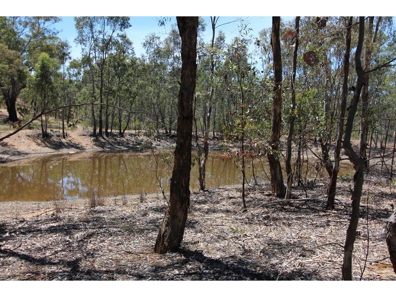 1769 Strathfieldsaye Road, Eppalock VIC 3551