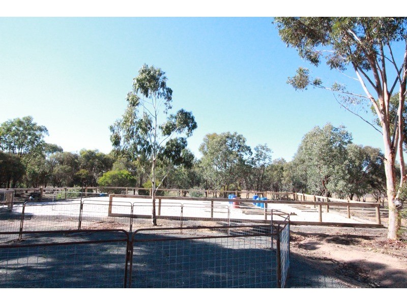 60 Enright Road, Eppalock VIC 3551