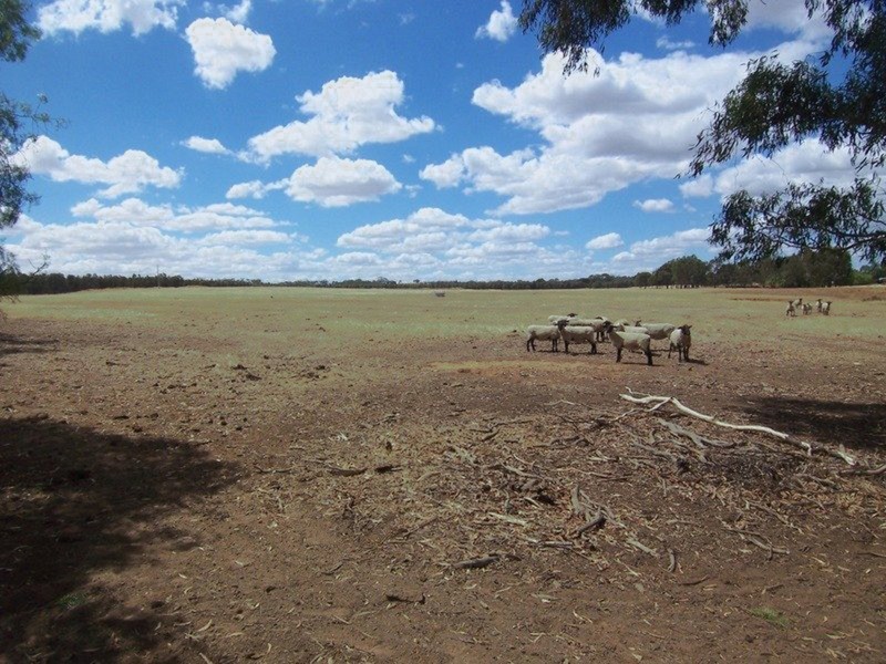Lot 1 Marong-Woodstock [Neivandts Rd] Road, Shelbourne VIC 3463