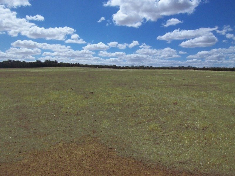 Lot 1 Marong-Woodstock [Neivandts Rd] Road, Shelbourne VIC 3463
