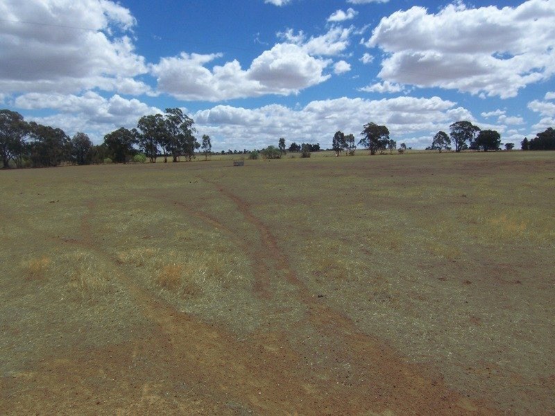 Lot 1 Marong-Woodstock [Neivandts Rd] Road, Shelbourne VIC 3463