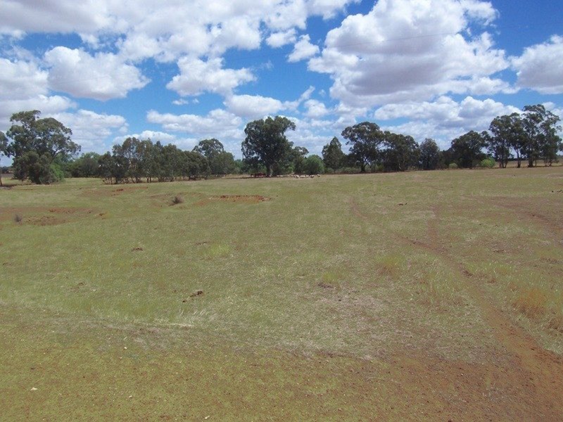 Lot 1 Marong-Woodstock [Neivandts Rd] Road, Shelbourne VIC 3463