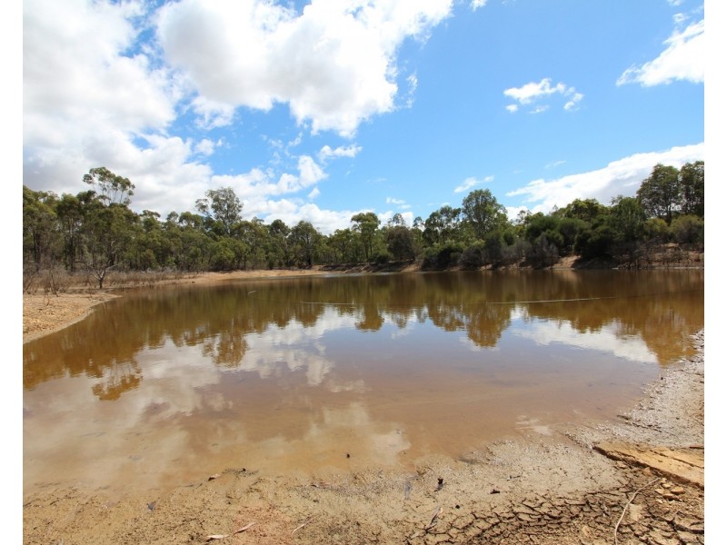 60 Carneys Road, Eppalock VIC 3551