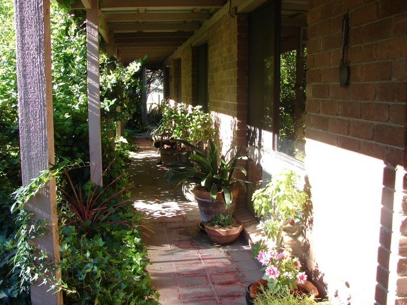 239 North Harcourt Road, Harcourt North VIC 3453