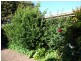 239 North Harcourt Road, Harcourt North VIC 3453