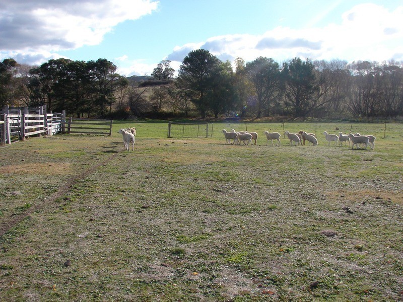 239 North Harcourt Road, Harcourt North VIC 3453