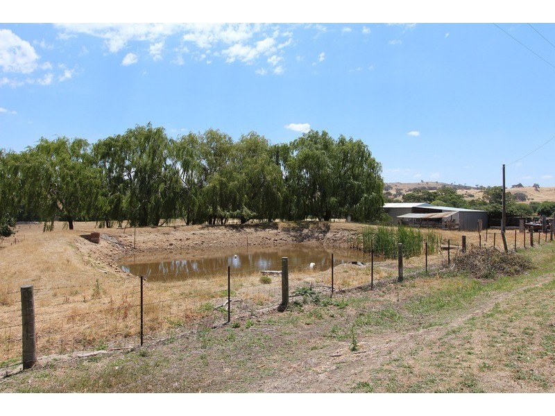 239 North Harcourt Road, Harcourt North VIC 3453