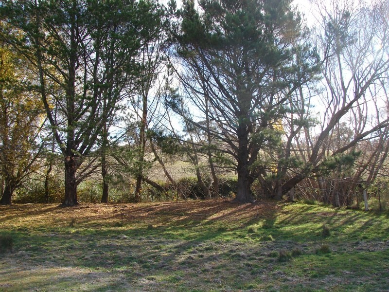 239 North Harcourt Road, Harcourt North VIC 3453