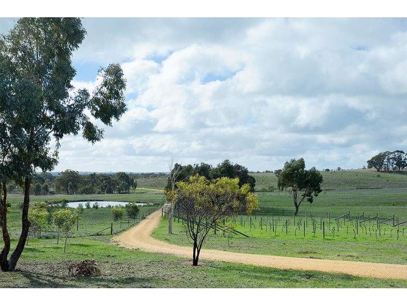 708 Lakeys Road, Shelbourne VIC 3463