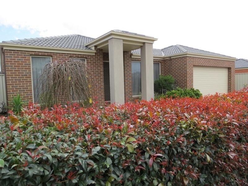 3 Black Wattle Avenue, Epsom VIC 3551