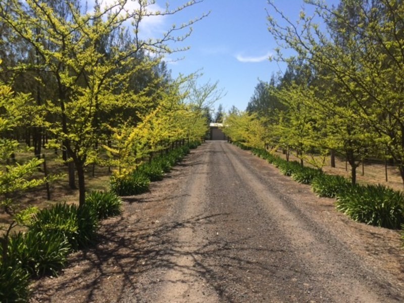 1449 Strathfieldsaye Road, Strathfieldsaye VIC 3551