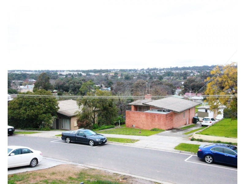 1/3 Ryan Street, North Bendigo VIC 3550