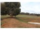 Lot 2 Old Boort Road, Wedderburn VIC 3518