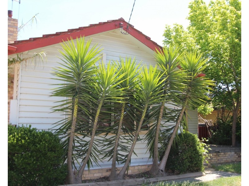 37 Holdsworth Road, Bendigo VIC 3550