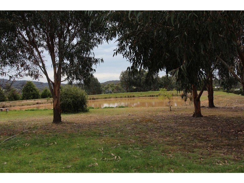 51 Hall Road, Heathcote VIC 3523