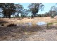 829 Maldon-Newstead Road, Maldon VIC 3463