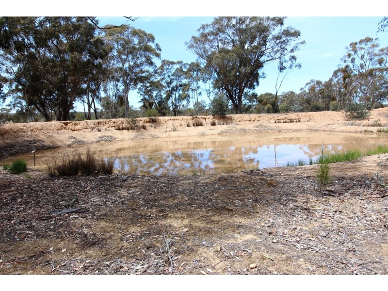 829 Maldon-Newstead Road, Maldon VIC 3463