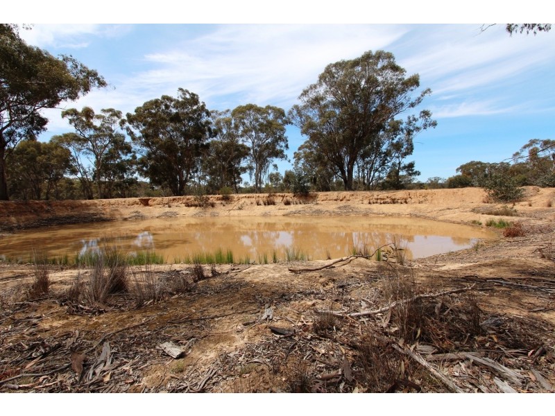 829 Maldon-Newstead Road, Maldon VIC 3463