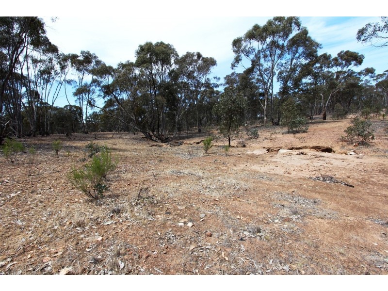 829 Maldon-Newstead Road, Maldon VIC 3463