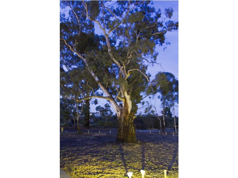 9 Amber Court, East Bendigo VIC 3550