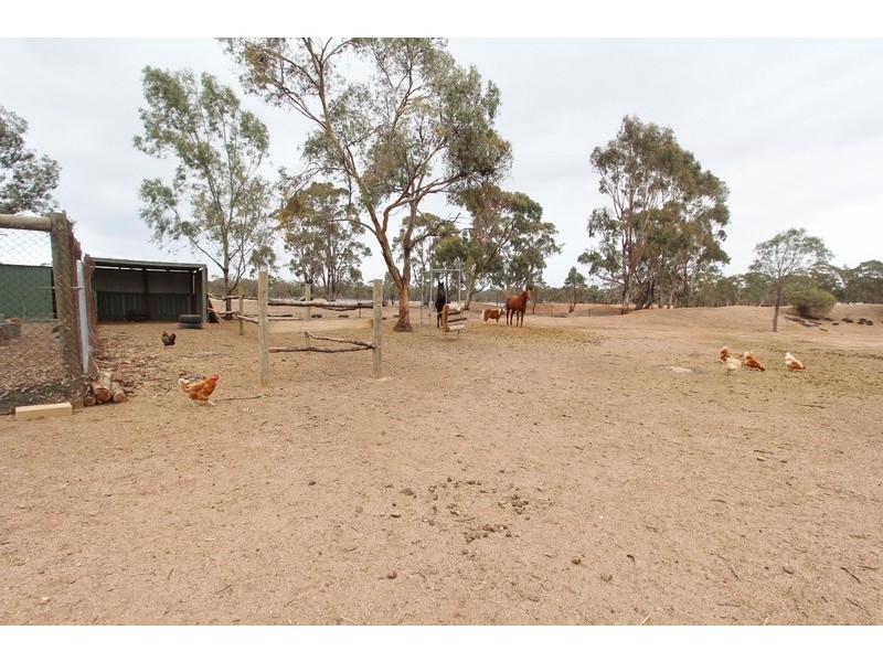 55  Christie Road, Kurting VIC 3517