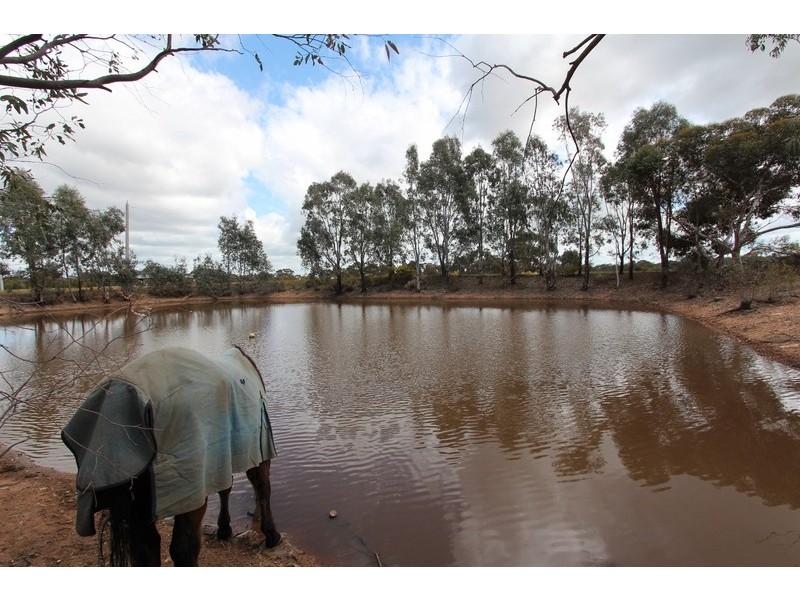 319 Camp Road, Woodvale VIC 3556