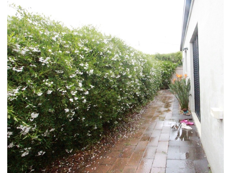 1/82 Sternberg Street, Kennington VIC 3550