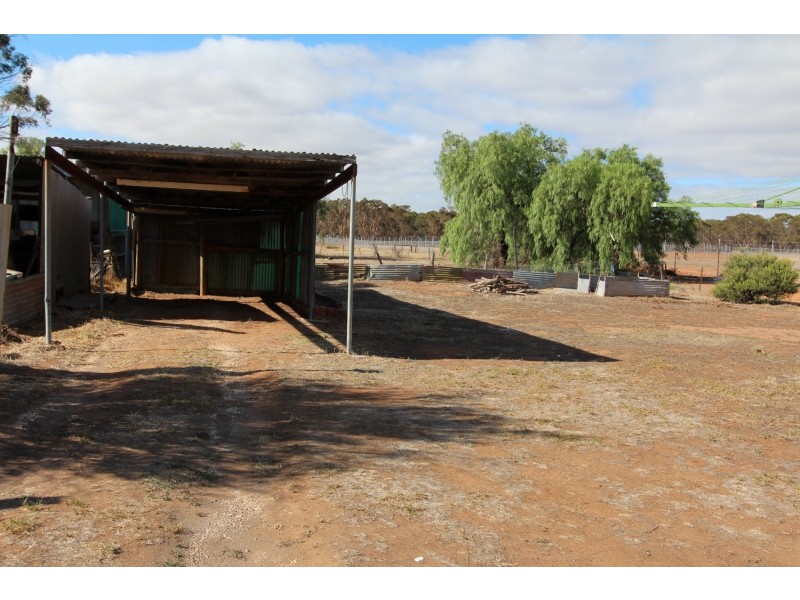 33 Borung Street, Inglewood VIC 3517