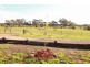 14 Palmer Road, Neilborough VIC 3570