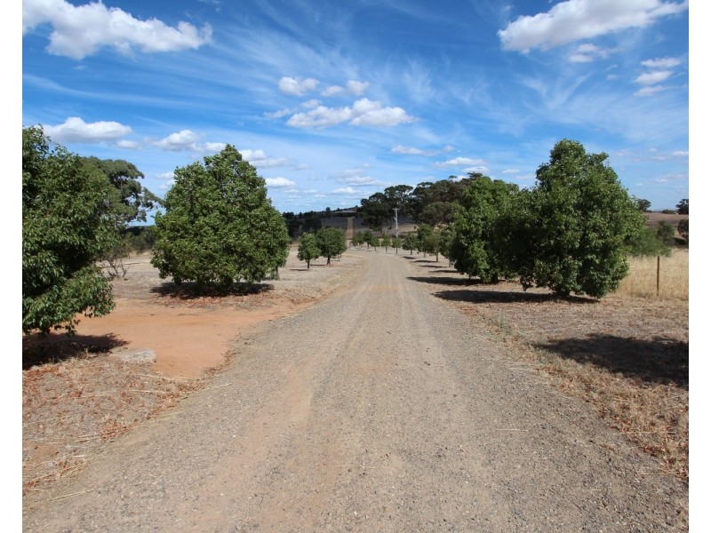 142 Whitlocks Road, Tarrengower VIC 3463