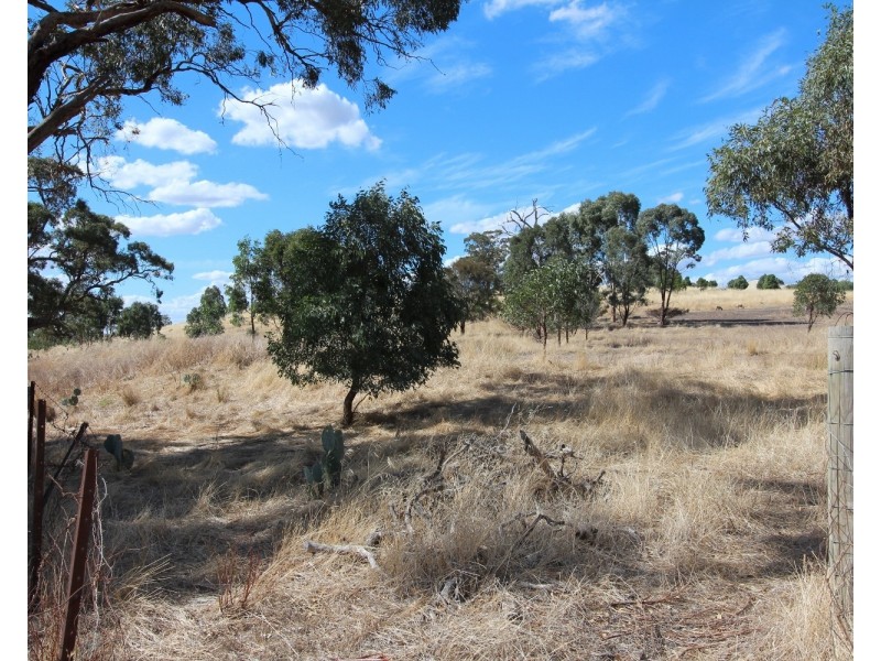 142 Whitlocks Road, Tarrengower VIC 3463