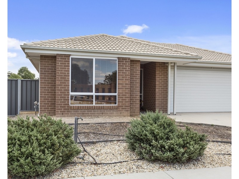 1 Pamela Avenue, Jackass Flat VIC 3556