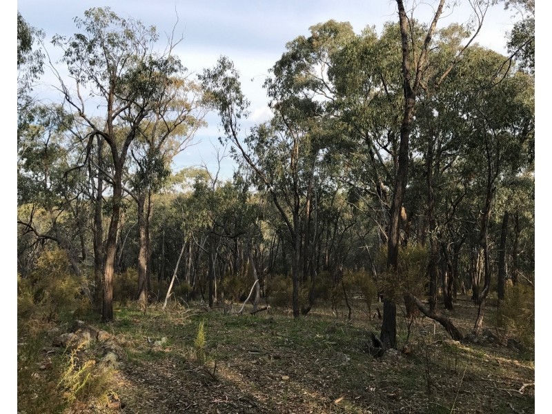 172 Native Gully Crescent, Eppalock VIC 3551